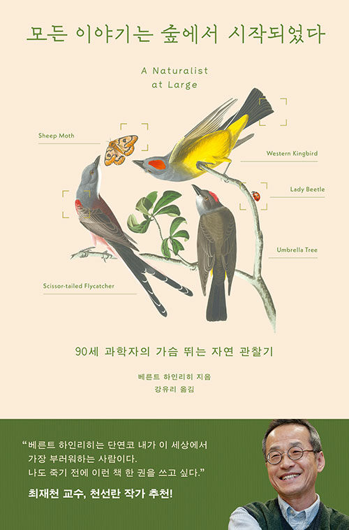 모든 이야기는 숲에서 시작되었다 첨부 이미지