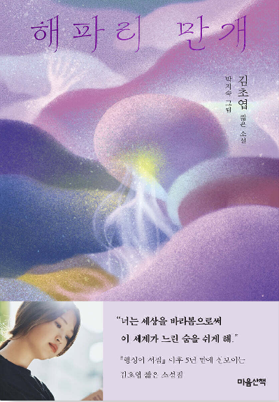 해파리 만개 첨부 이미지